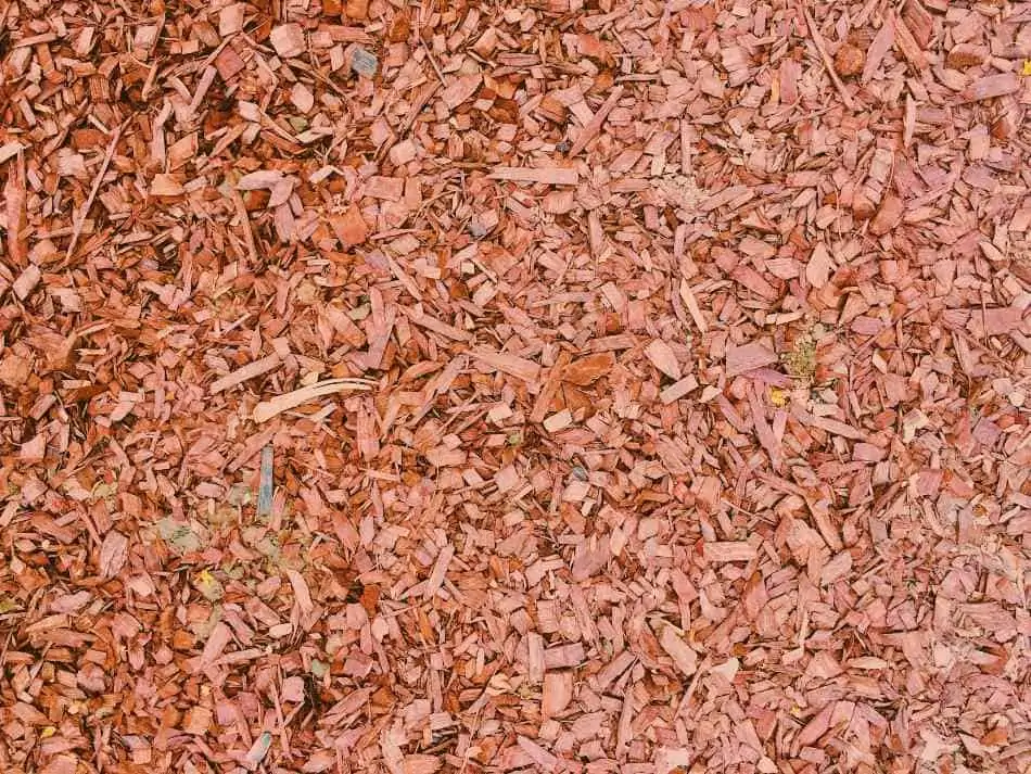 Wood chips. 