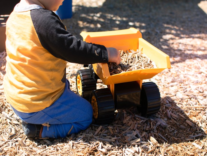 Image of Cedar wood chips in a sandbox